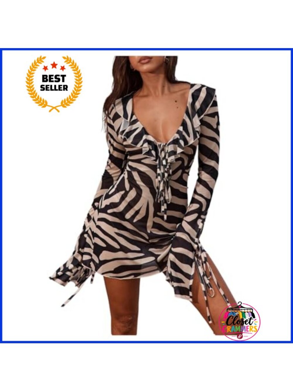 Sheer Mesh Zebra Print Mini Dress Deep V Neck Long Sleeve Bodycon